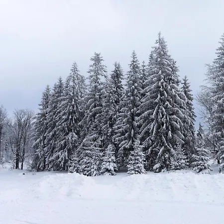 Jablonec アパートホテル